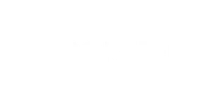 Portfel